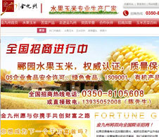 營銷型網站建設