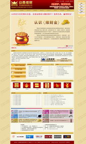 山西維財(cái)貴金屬貿(mào)易 數(shù)字化轉(zhuǎn)型與網(wǎng)站建設(shè)的戰(zhàn)略選擇